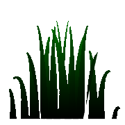 Green vertex color on this grass mesh